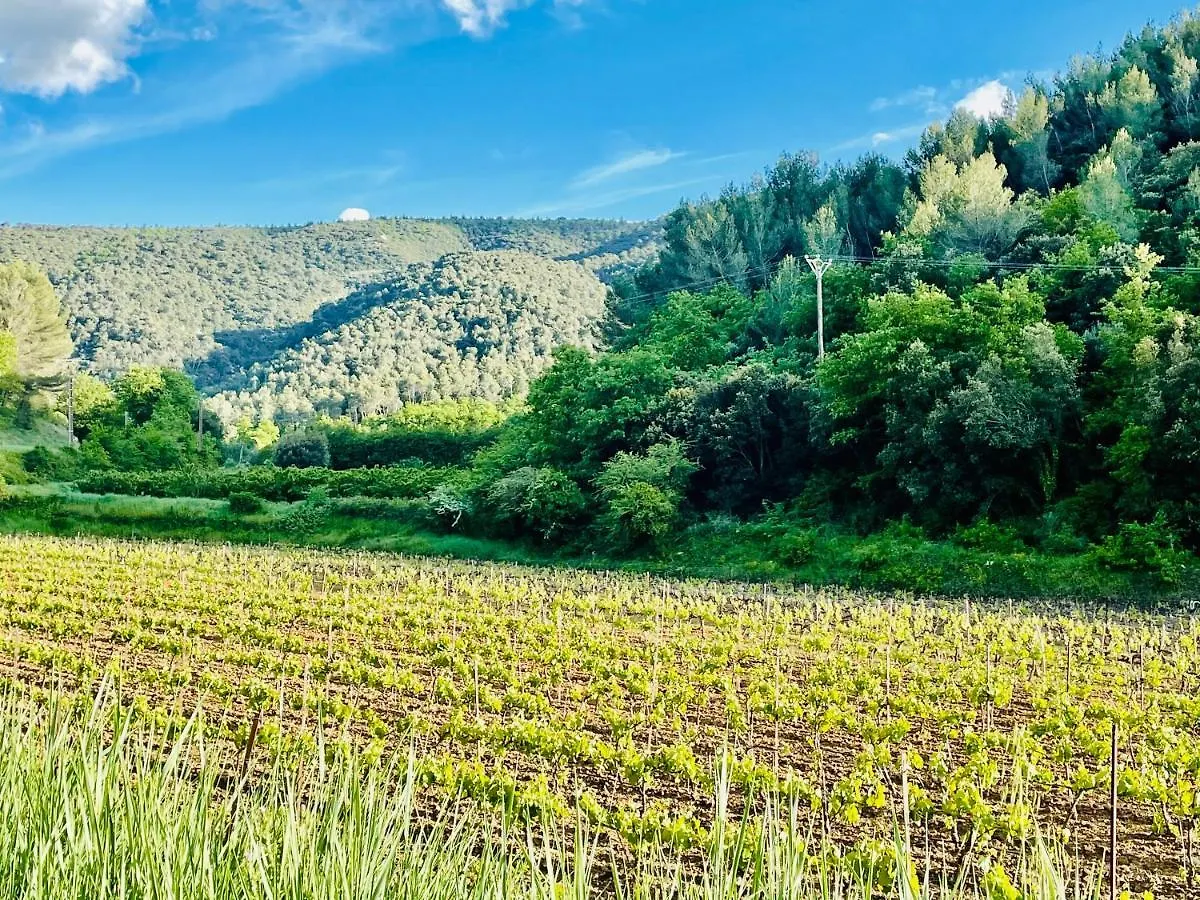 Villa Bel - Entre Paradis Et Vignes Menerbes