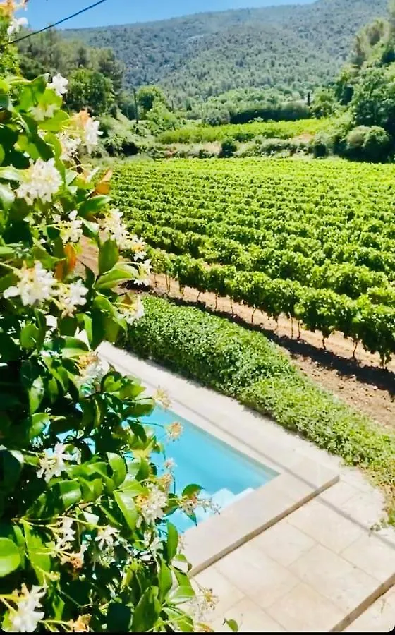 Villa Bel - Entre Paradis Et Vignes Menerbes