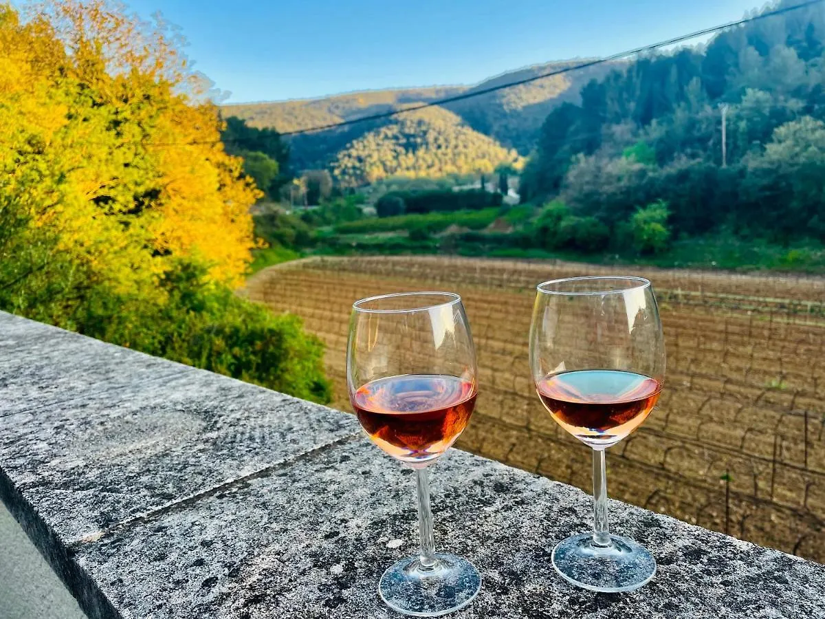 Villa Bel - Entre Paradis Et Vignes Menerbes France