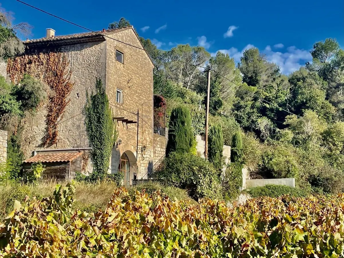 Villa Bel - Entre Paradis Et Vignes Menerbes