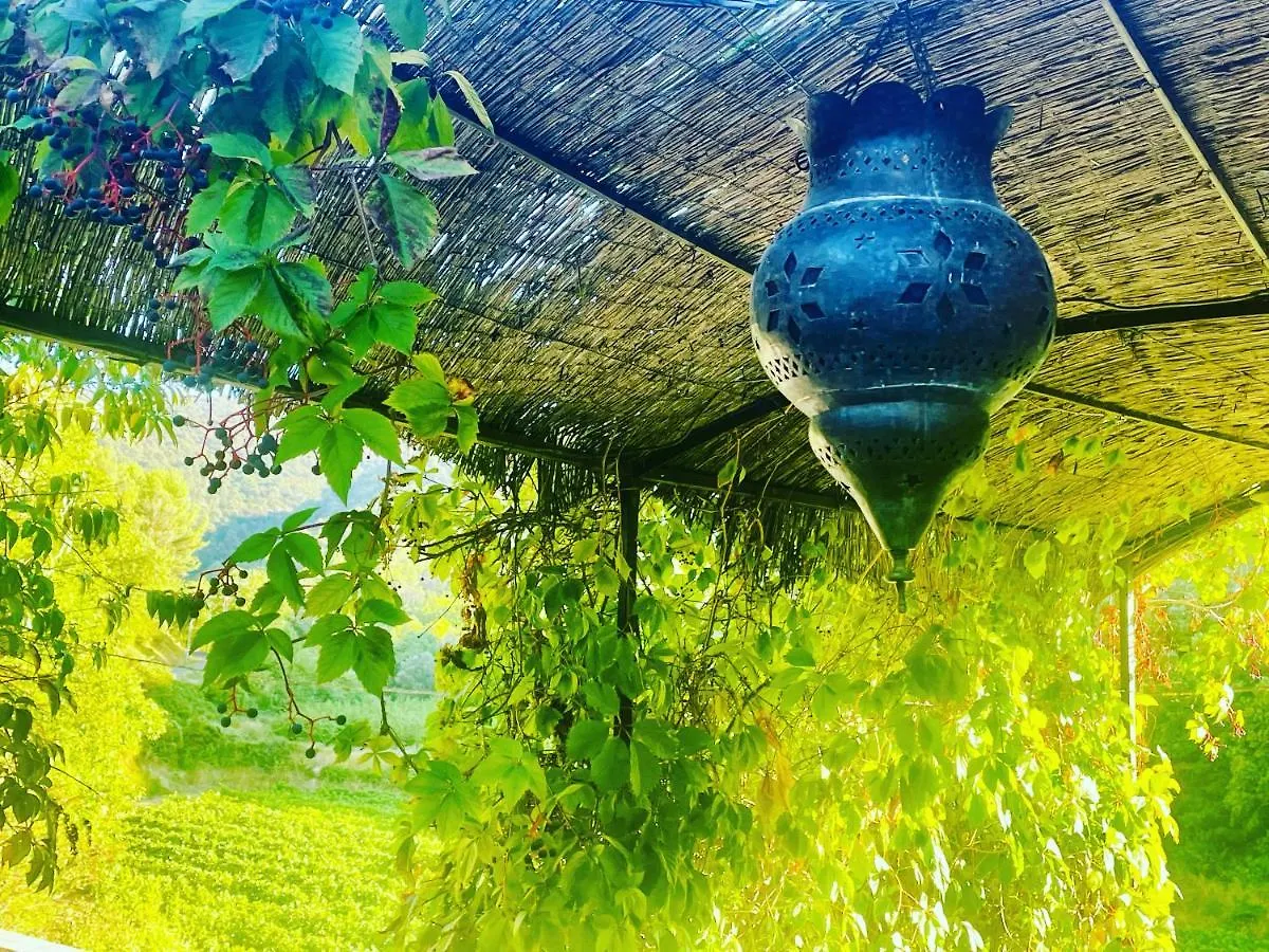 Villa Bel - Entre Paradis Et Vignes Menerbes France