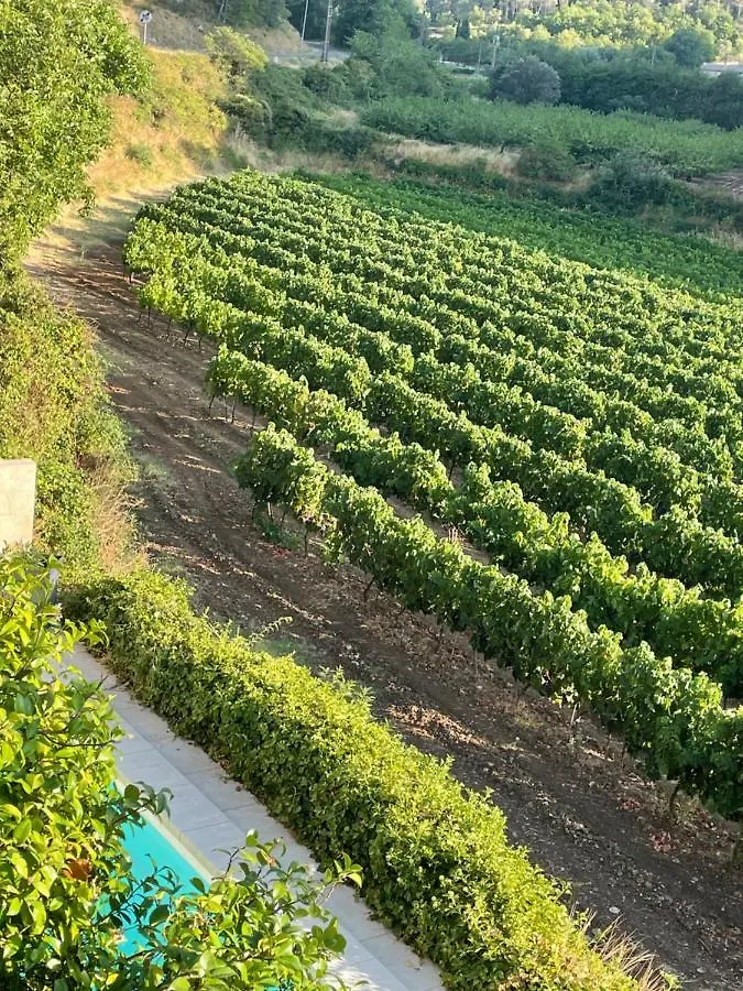 Villa Bel - Entre Paradis Et Vignes Menerbes France